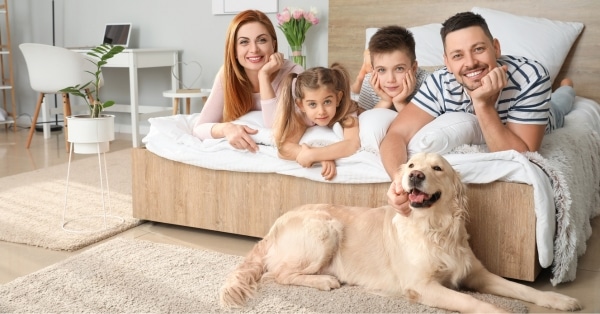 יש לכם כלב? כך תעצבו את חדר השינה שיהיה נעים לכם ולו